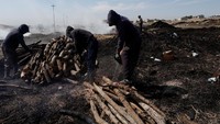 Petugas memotong-motong kayu bakar yang akan dibuat menjadi arang.  