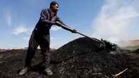 Setelah dipotong-potong, kayu tersebut kemudian dibakar dan ditimbun dengan tanah.  