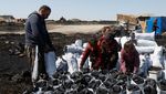 Ramadan, Permintaan Arang di Irak Meningkat