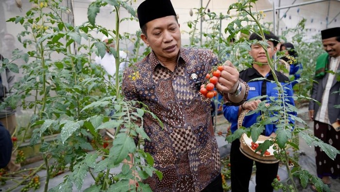 Wakil Menteri Koperasi Republik Indonesia, Ferry Joko Yuliantono saat meninjau Ponpes Al Ittifaq.