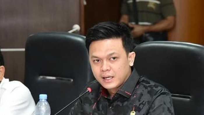 Anggota DPRD Medan David Roni Ganda Sinaga (Foto: Instagram @davidronig_sinaga)