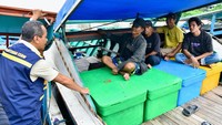 Kadatangannya untuk memastikan pasokan BBM bagi nelayan terpenuhi sesuai harapan. Kadatangannya untuk memastikan pasokan BBM bagi nelayan terpenuhi sesuai harapan.