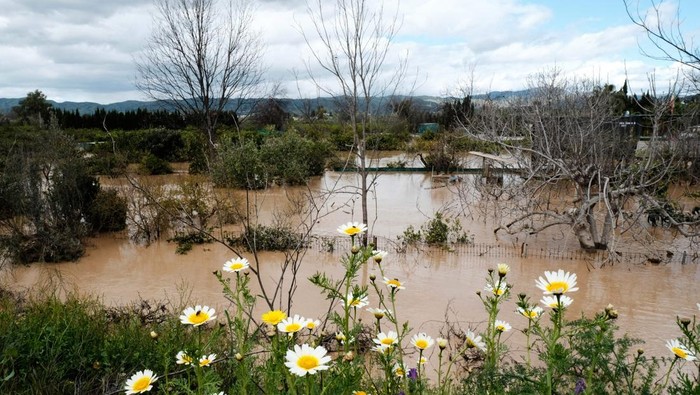Banjir Melanda Spanyol, 2 Orang Hilang dan Ratusan Orang Dievakuasi Residents clear mud from the streets after heavy rains in Campanillas, Malaga, Spain, Tuesday, March 18, 2025. (AP Photo/Gregorio Marrero)