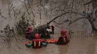 Tim penyelamat menyelamatkan seekor anjing dari daerah banjir.