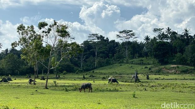 Bukit Kebo Balikpapan.