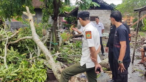 Kondisi salah satu rumah warga yang diterjang angin puting beliung di wilayah Kecamatan Mendoyo, Kabupaten Jembrana, Rabu (19/3/2025). (Foto: Dok. BPBD Jembrana)