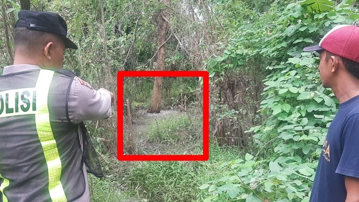 Lokasi Air Gelembung di Bawah Pohon Klampis