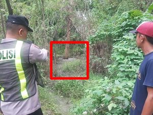 DLH Bojonegoro Akan Cek Lokasi Air Gelembung di Bawah Pohon Klampis