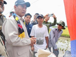 Kecewa Petani Dipersulit, Mentan Copot Jabatan Pimwil Bulog Kalsel
