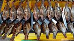 Penjualan Ikan Asap di Pasuruan Meningkat saat Ramadan