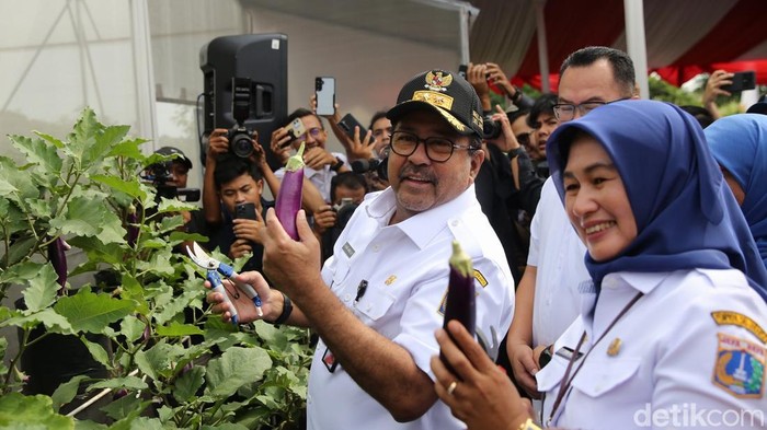 Pemprov DKI Panen Raya 20 Ton Bahan Makanan di 266 Lokasi Pemerintah Provinsi (Pemprov) DKI Jakarta melakukan panen serentak bahan makanan di 266 titik. Hasilnya diperkirakan mencapai 20 ton.