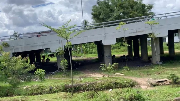 Penampakan kolong Jembatan Kapuas 1 ditinggali sejumlah orang