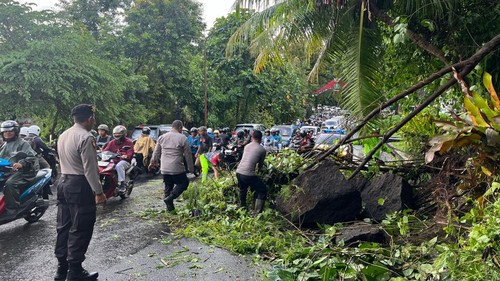 Pohon tumbang dan material longsoran menutup sebagian jalan penghubungan antara Kecamatan Kediri dan Kecamatan Tabanan, Rabu (19/3/2025).