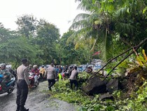 Cuaca Ekstrem di Tabanan dan Klungkung: Pohon Tumbang, Bangunan Pura Roboh