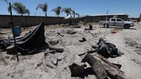 Pada hari Kamis (13/3), pihak berwenang menyita peternakan Izaguirre, tempat mereka dan anggota Guerreros Buscadores de Jalisco, kelompok yang menemukan tempat itu minggu lalu, dikerahkan untuk melakukan penyelidikan.  