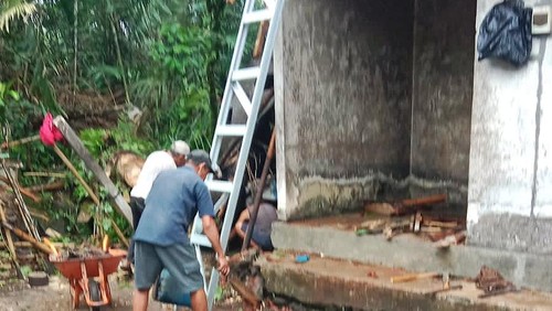 Rumah milik lansia di Desa Duda Utara, Kecamatan Selat, Kabupaten Karangasem setelah tertimpa pohon tumbang pada Rabu (19/3/2025). (istimewa)