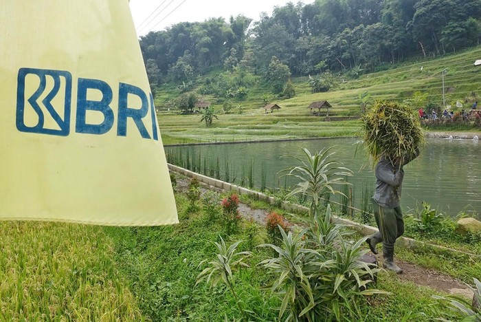 Sederet Upaya Nyata BRI Terapkan Prinsip ESG untuk Bisnis Berkelanjutan