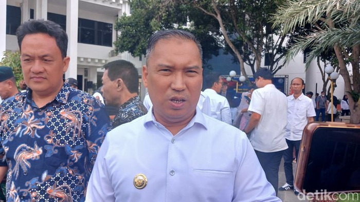 Wakil Gubernur Kepri, Nyanyang Haris Pratamura.(Alamudin Hamapu/detikSumut)