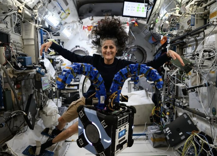 Astronot Nasa Sunita Williams