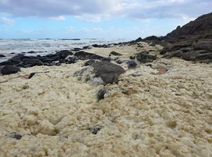 Misteri Buih di Pantai Racuni Peselancar hingga Ikan Mati Massal