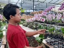 Kala KUR BRI Bantu UMKM Anggrek Hadapi Persaingan Ketat Jelang Lebaran