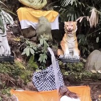 Lala tampak begitu bersemangat menjalani berbagai prosesi melukat, salah satunya ialah pemandian di tempat suci seperti yang terlihat dalam foto. Foto: Instagram/@lalamarionmj