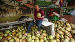 Omzet Naik, Penjual Kelapa Muda Raup Cuan Saat Ramadan