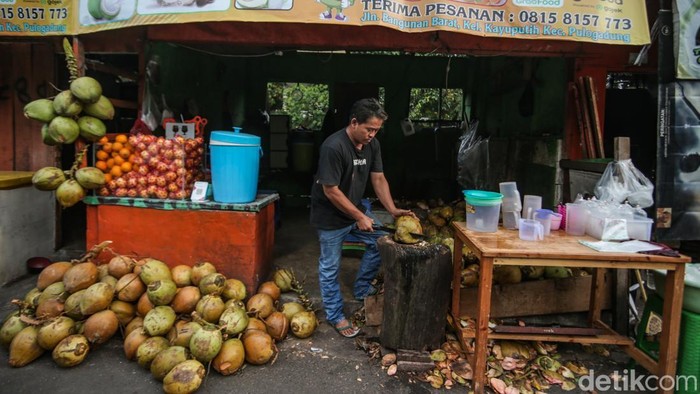 Omzet Naik, Penjual Kelapa Muda Raup Cuan Saat Ramadan Pedagang membuka kelapa muda di Jalan Bangunan Barat, Rawamangun, Jakarta Timur, Kamis (20/3/2025).