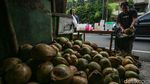 Omzet Naik, Penjual Kelapa Muda Raup Cuan Saat Ramadan