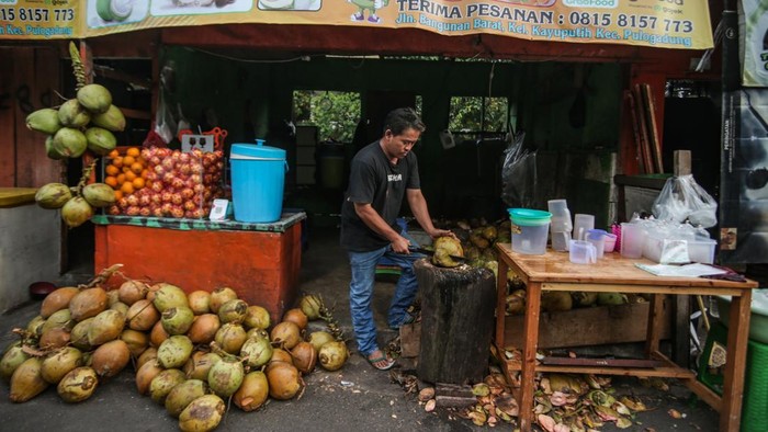 Pedagang kelapa muda