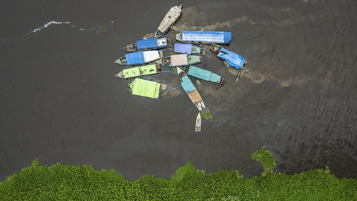 Potret Pencari Benda Kuno di Kawasan Cagar Budaya Jambi Foto udara sejumlah perahu motor melakukan lego jangkar saat para pencari benda kuno menyelam di Sungai Kumpeh, Suak Kandis, Muaro Jambi, Jambi, Kamis (20/3/2025). Pencarian benda kuno yang melibatkan puluhan penyelam di dasar muara Sungai Kumpeh yang telah ditetapkan sebagai kawasan cagar budaya bawah air Muaro Jambi tersebut masih marak terjadi. ANTARA FOTO/Wahdi Septiawan/rwa.