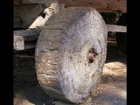 Roda