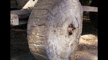 Roda: Penemuan roda sekitar 3500 SM mengubah cara hidup, bekerja, dan angkut barang. Sebelumnya untuk memindah benda berat, manusia memakai kereta luncur atau menyeretnya sehingga melelahkan dan tidak efisien, membatasi jumlah barang yang dapat diangkut. Roda membuat transportasi jauh lebih mudah, memungkinkan barang diangkut lebih jauh dan dalam jumlah banyak. Roda juga terobosan yang mengilhami penemuan lain. Misalnya katrol dan perangkat mekanis lain dimungkinkan oleh penggunaan roda. Bentuk roda yang melingkar dan kemampuannya berputar juga memicu berkembangnya berbagai alat ukur, seperti odometer dan kincir air. Foto: Wikipedia