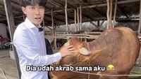 Dalam niatnya berbagi rendang, Willie Salim membeli seekor sapi. Sapi seberat 300 kilogram bernama Bambang dipilihnya sendiri dan dibeli dengan harga sekitar Rp 50 jutaan. Foto: Instagram/willie27_