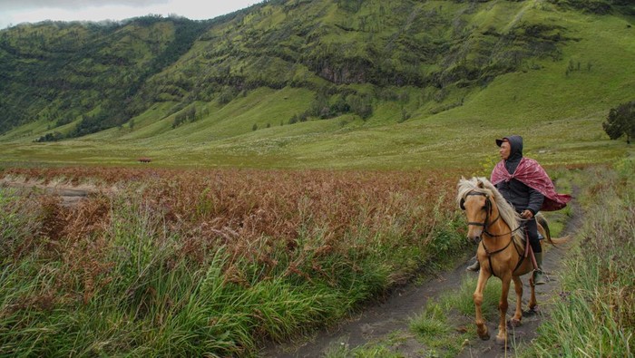 Kendaraan melintas di kawasan Taman Nasional Bromo Tengger Semeru (TNBTS), Kabupaten Probolinggo, Jawa Timur, Jumat (21/3/2025). Balai Besar TNBTS menutup sementara kegiatan kunjungan wisata secara total di seluruh kawasan mulai Jumat (28/3) pukul 00.01 WIB sampai dengan Selasa (1/4) pada pukul 23.59 WIB dalam rangka menghormati Hari Suci Nyepi Tahun Baru Saka 1947 dan Hari Raya Idul Fitri 1446 Hijriah. ANTARA FOTO/Irfan Sumanjaya/foc.