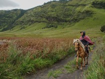 Cegah Pengunjung Ilegal, Pengawasan Masuk Bromo Dilipatgandakan