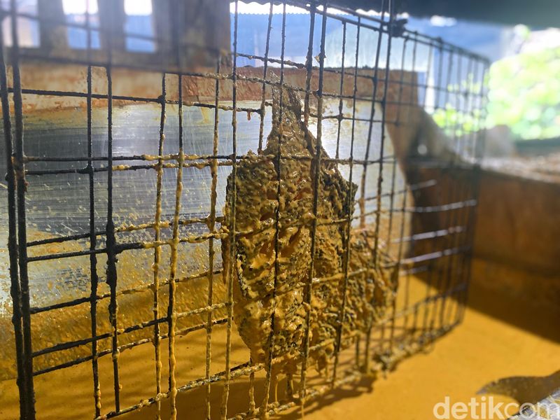 Gurame Bakar Serba Nikmat; rumah makan tersembunyi di Ciputat