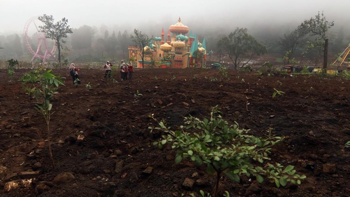 Sejumlah petugas Dinas Perkebunan Provinsi Jawa Barat melakukan penanaman pohon di kawasan Hibisc Fantasy, Puncak, Kabupaten Bogor, Jawa Barat, Jumat (21/3/2025).Penanaman pohon itu diharapkan dapat mengurangi risiko erosi, meningkatkan kualitas udara, serta mengembalikan keseimbangan alam di kawasan tersebut. ANTARA FOTO/Yulius Satria Wijaya/nz.