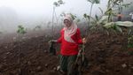 Lahan Bekas Hibisc Fantasy Puncak Bogor Mulai Ditanami Pohon