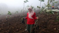 Penanaman pohon itu diharapkan dapat mengurangi risiko erosi, meningkatkan kualitas udara, serta mengembalikan keseimbangan alam di kawasan tersebut.