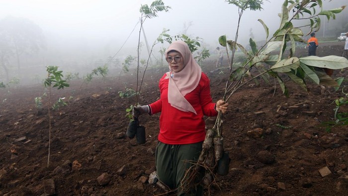 Sejumlah petugas Dinas Perkebunan Provinsi Jawa Barat melakukan penanaman pohon di kawasan Hibisc Fantasy, Puncak, Kabupaten Bogor, Jawa Barat, Jumat (21/3/2025).Penanaman pohon itu diharapkan dapat mengurangi risiko erosi, meningkatkan kualitas udara, serta mengembalikan keseimbangan alam di kawasan tersebut. ANTARA FOTO/Yulius Satria Wijaya/nz.