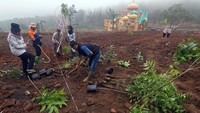 Sejumlah petugas Dinas Perkebunan Provinsi Jawa Barat melakukan penanaman pohon di kawasan Hibisc Fantasy, Puncak, Kabupaten Bogor, Jawa Barat, Jumat (21/3/2025).   