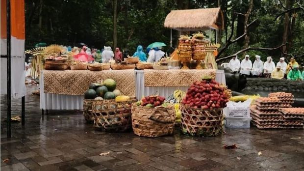 Buah-buahan untuk kera-kera ekor panjang di Monkey Forest Ubud.
