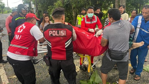 Pemotor tewas tertimpa pohon di Jalan Denpasar-Singaraja, Desa Sembung, Kecamatan Mengwi, Badung, Jumat pagi (21/3/2025). (Dok Polres Badung)