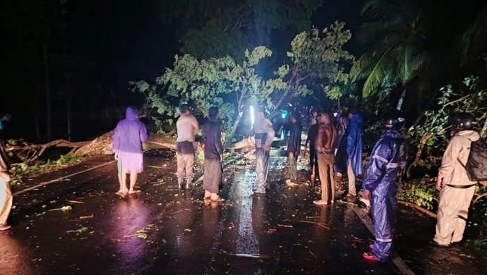 Pohon perindang tumbang menimpa truk semen di Jalan Denpasar-Gilimanuk, Desa Antap, Kecamatan Selemadeg, Tabanan, Jumat (21/3/2025) dini hari. (Dok. Polres Tabanan)