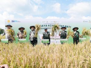 Dari Pupuk ke Panen, Begini Peran Pupuk Indonesia dalam Jaga Ketahanan Pangan