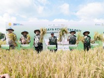 Dari Pupuk ke Panen, Begini Peran Pupuk Indonesia dalam Jaga Ketahanan Pangan