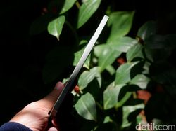 Wujud Galaxy A36 5G, HP Baru Samsung Cocok untuk Lebaran