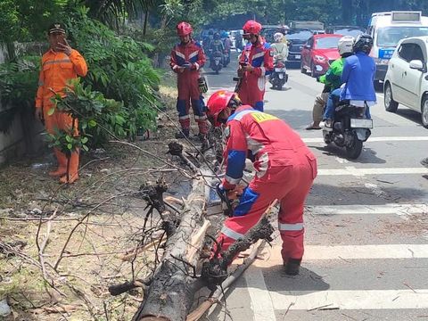 Seorang pengendara sepeda motor terluka akibat tertimpa pohon tumbang di Kembangan, Jakarta Barat (Jakbar). Korban mengalami luka di bagian kepala. (dok Damkar Jakbar)