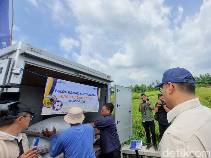 Wakil Menteri Pertanian (Wamentan) Sudaryono memantau Tim jemput gabah di Bambanglipuro, Bantul, Jumat (21/3/2025).